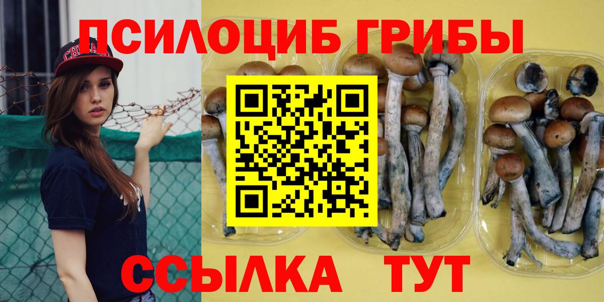 Псилоцибиновые грибы прущие грибы Нижнеудинск